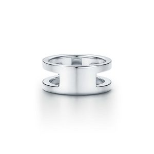 Titanium ID Ring