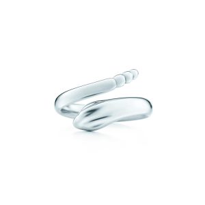 Titanium Snake Ring